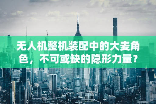 无人机整机装配中的大麦角色，不可或缺的隐形力量？