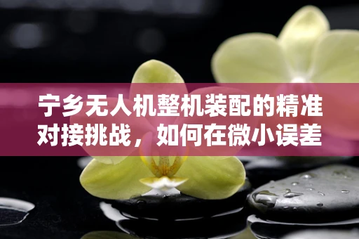 宁乡无人机整机装配的精准对接挑战，如何在微小误差中追求完美？