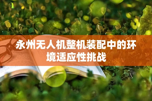 永州无人机整机装配中的环境适应性挑战