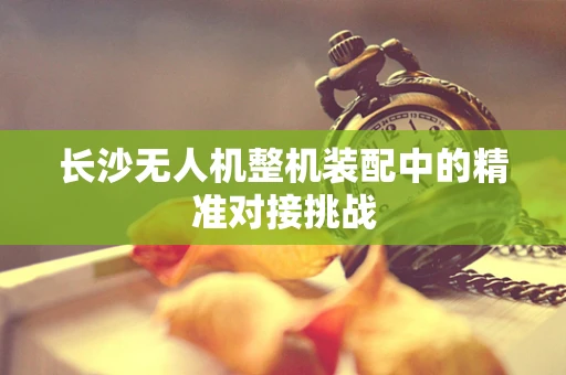 长沙无人机整机装配中的精准对接挑战