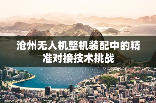 沧州无人机整机装配中的精准对接技术挑战