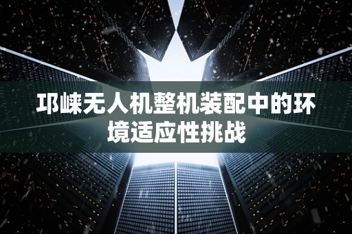 邛崃无人机整机装配中的环境适应性挑战