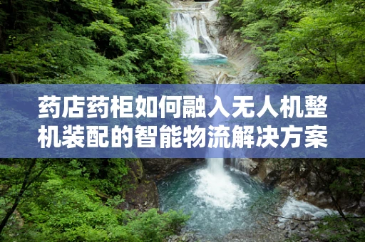 药店药柜如何融入无人机整机装配的智能物流解决方案中？