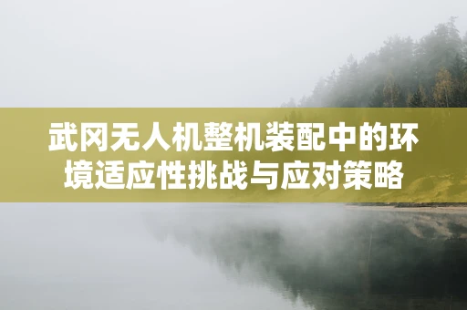 武冈无人机整机装配中的环境适应性挑战与应对策略