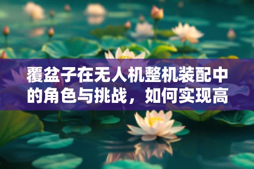 覆盆子在无人机整机装配中的角色与挑战，如何实现高效集成？