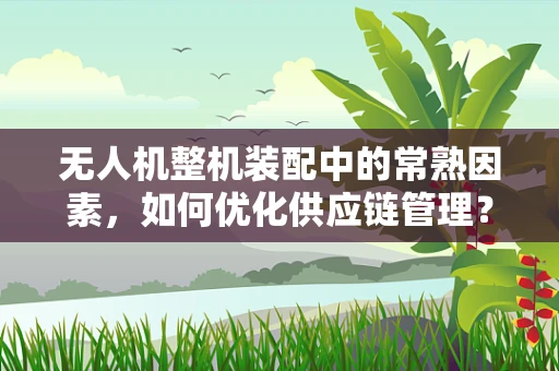无人机整机装配中的常熟因素，如何优化供应链管理？