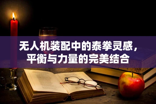 无人机装配中的泰拳灵感，平衡与力量的完美结合