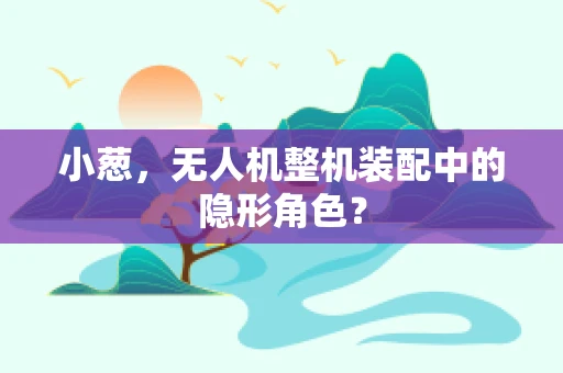 小葱，无人机整机装配中的隐形角色？