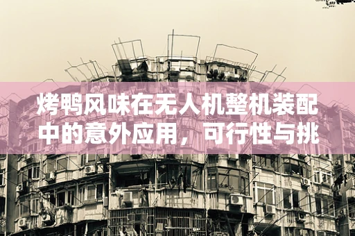 烤鸭风味在无人机整机装配中的意外应用，可行性与挑战何在？