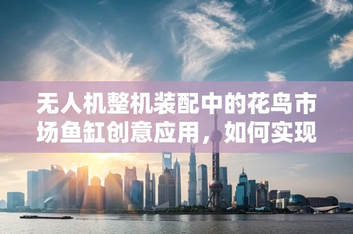 无人机整机装配中的花鸟市场鱼缸创意应用，如何实现精准定位与拍摄？