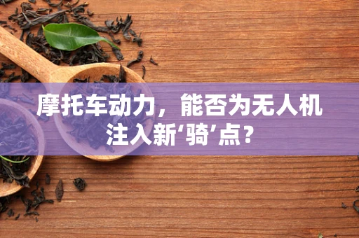 摩托车动力，能否为无人机注入新‘骑’点？