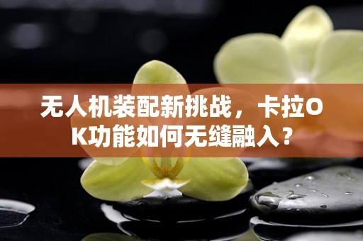 无人机装配新挑战，卡拉OK功能如何无缝融入？