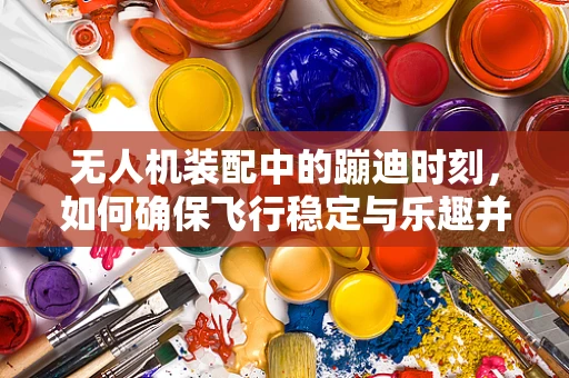 无人机装配中的蹦迪时刻，如何确保飞行稳定与乐趣并存？