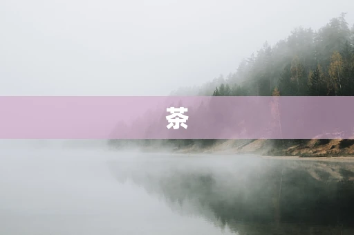 茶