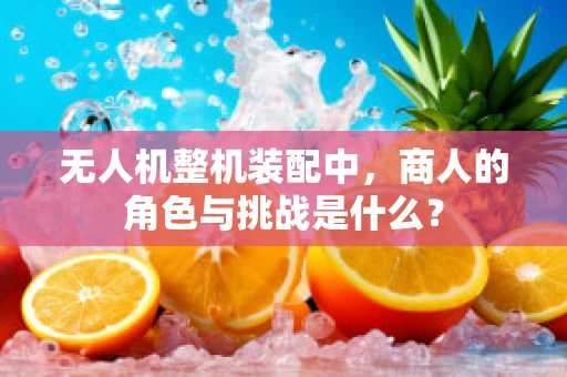 无人机整机装配中，商人的角色与挑战是什么？