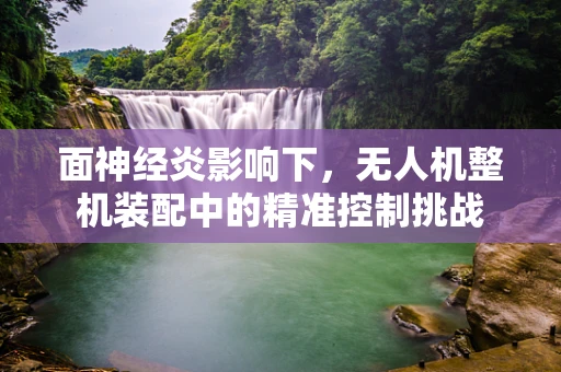 面神经炎影响下，无人机整机装配中的精准控制挑战