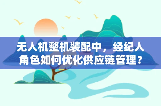 无人机整机装配中，经纪人角色如何优化供应链管理？