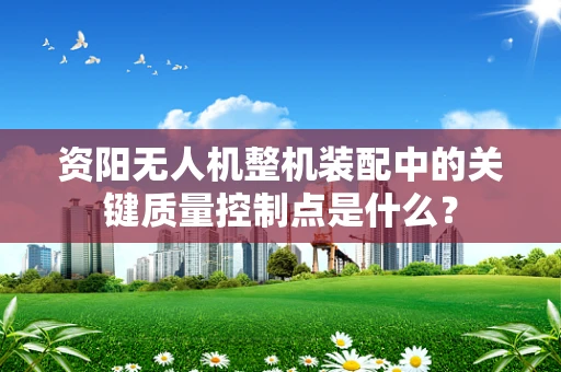 资阳无人机整机装配中的关键质量控制点是什么？