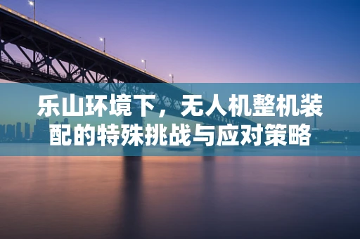 乐山环境下，无人机整机装配的特殊挑战与应对策略