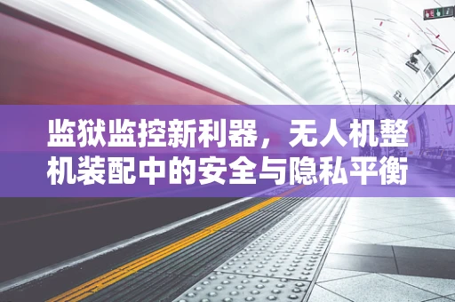 监狱监控新利器，无人机整机装配中的安全与隐私平衡挑战