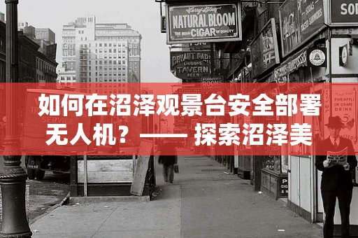 如何在沼泽观景台安全部署无人机？—— 探索沼泽美景的空中视角