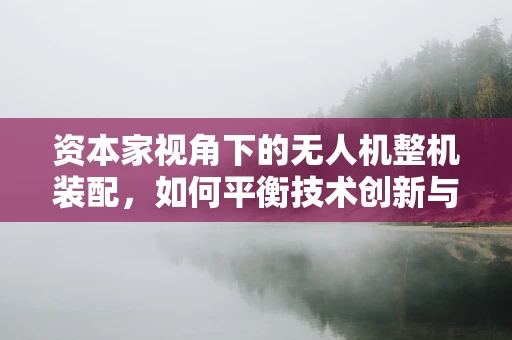 资本家视角下的无人机整机装配，如何平衡技术创新与成本控制？