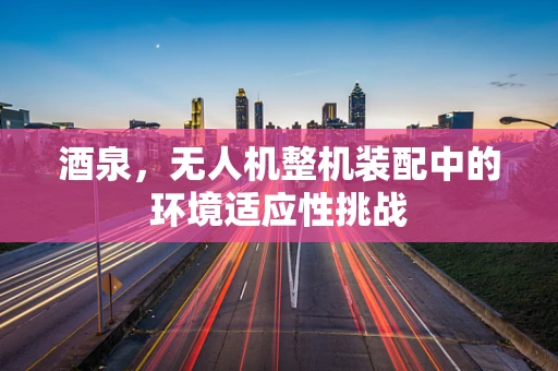 酒泉，无人机整机装配中的环境适应性挑战