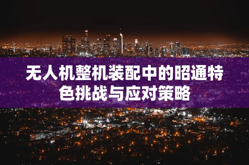 无人机整机装配中的昭通特色挑战与应对策略