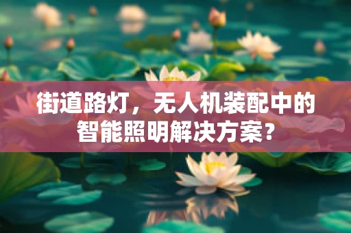 街道路灯，无人机装配中的智能照明解决方案？