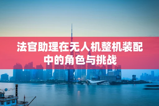 法官助理在无人机整机装配中的角色与挑战