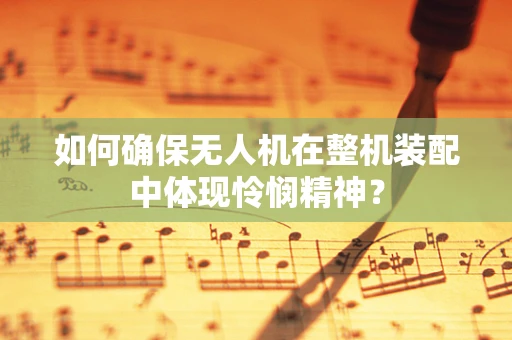 如何确保无人机在整机装配中体现怜悯精神？