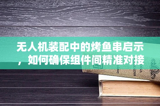 无人机装配中的烤鱼串启示，如何确保组件间精准对接？