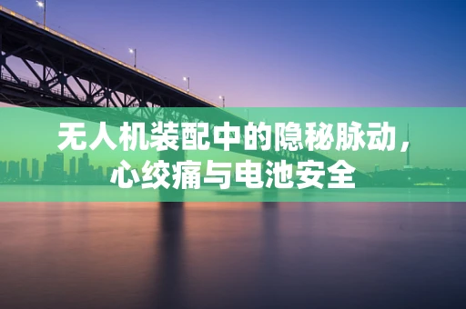无人机装配中的隐秘脉动，心绞痛与电池安全