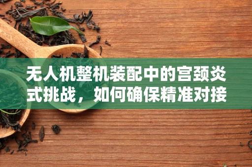 无人机整机装配中的宫颈炎式挑战，如何确保精准对接与安全飞行？