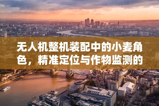 无人机整机装配中的小麦角色，精准定位与作物监测的巧妙结合