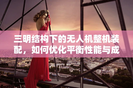 三明结构下的无人机整机装配，如何优化平衡性能与成本？