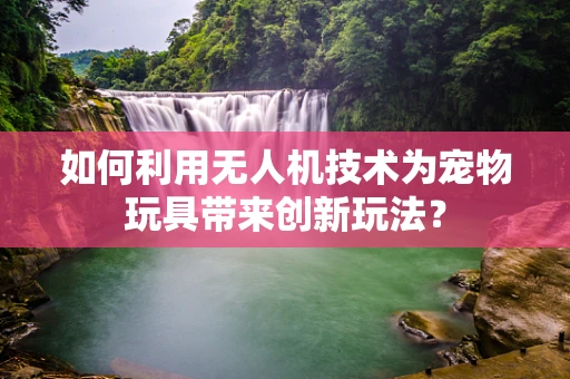 如何利用无人机技术为宠物玩具带来创新玩法？