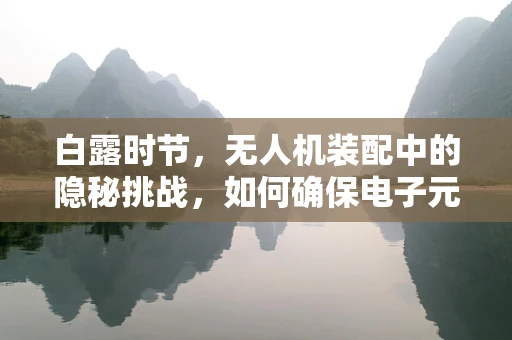白露时节，无人机装配中的隐秘挑战，如何确保电子元件防潮？