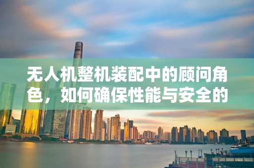 无人机整机装配中的顾问角色，如何确保性能与安全的完美融合？