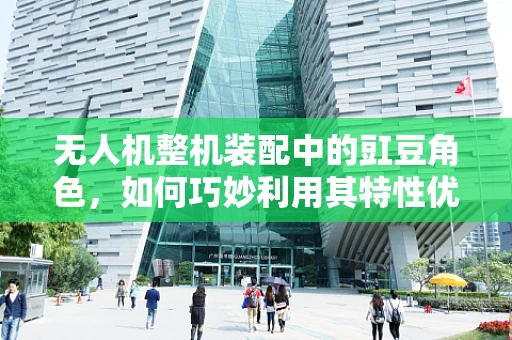 无人机整机装配中的豇豆角色，如何巧妙利用其特性优化结构稳定性？