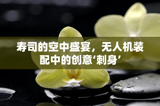 寿司的空中盛宴，无人机装配中的创意‘刺身’
