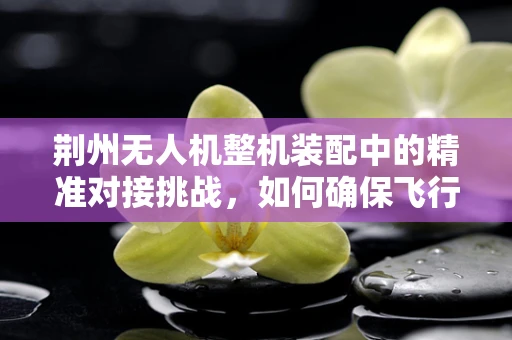 荆州无人机整机装配中的精准对接挑战，如何确保飞行稳定与安全？