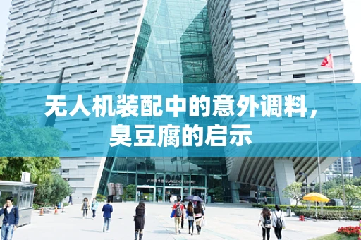 无人机装配中的意外调料，臭豆腐的启示