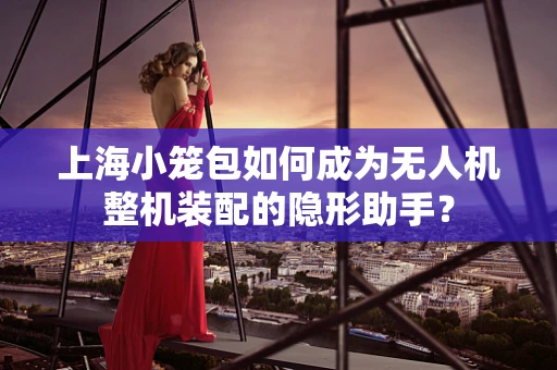 上海小笼包如何成为无人机整机装配的隐形助手？