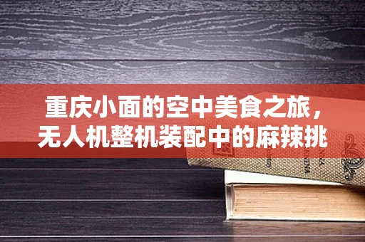 重庆小面的空中美食之旅，无人机整机装配中的麻辣挑战