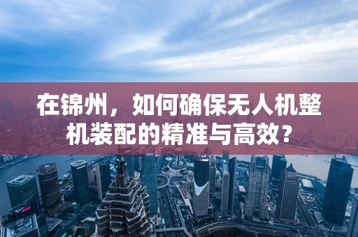 在锦州，如何确保无人机整机装配的精准与高效？