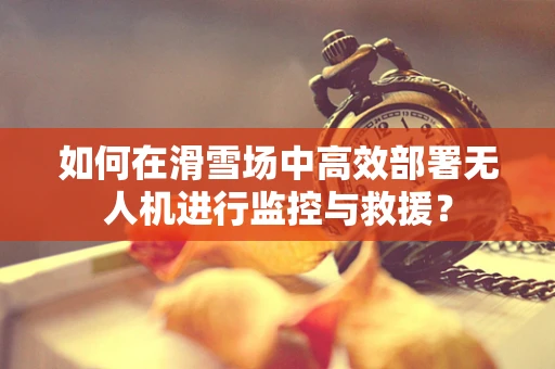 如何在滑雪场中高效部署无人机进行监控与救援？