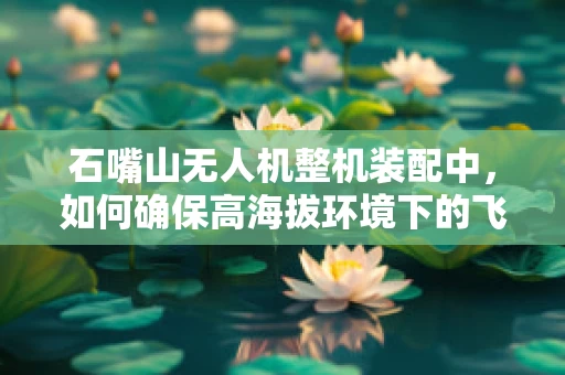 石嘴山无人机整机装配中，如何确保高海拔环境下的飞行稳定性？
