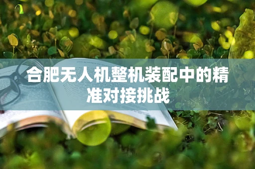合肥无人机整机装配中的精准对接挑战