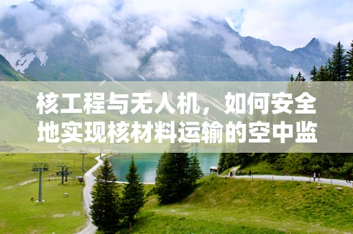 核工程与无人机，如何安全地实现核材料运输的空中监管？